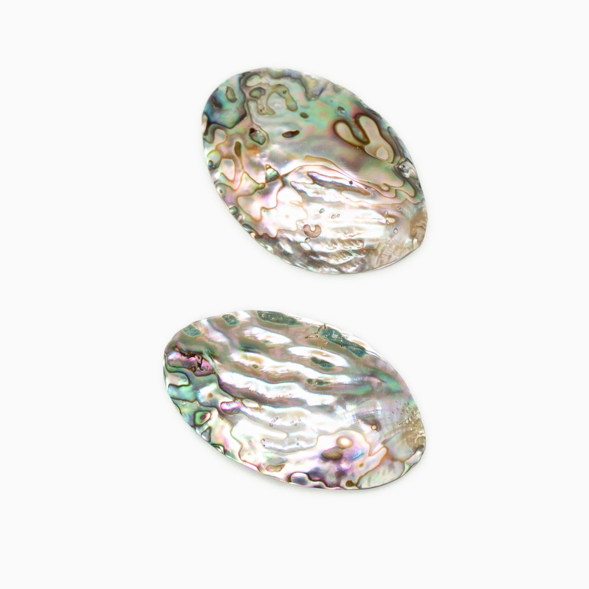 Abalone Double Shell
