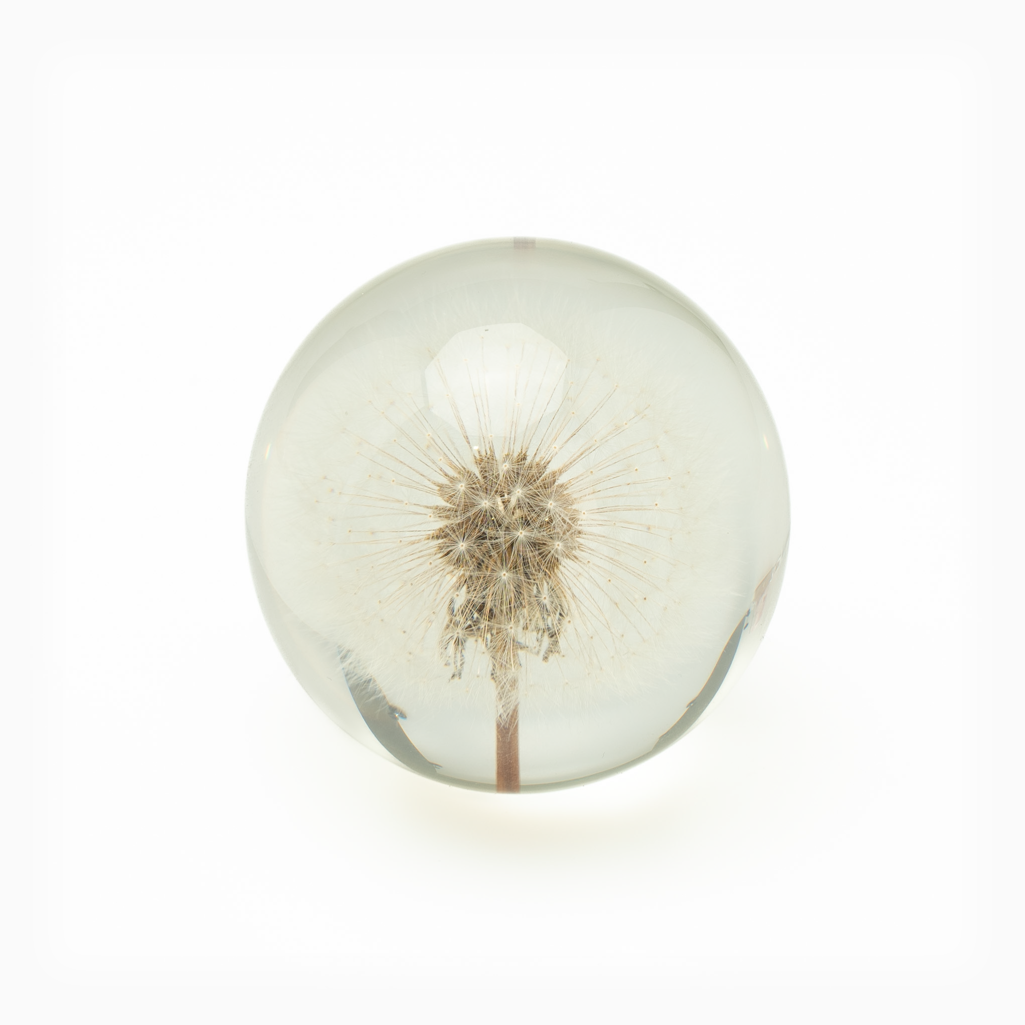 Dandelion Glass Crystal Ball