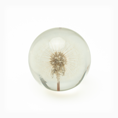 Dandelion Glass Crystal Ball