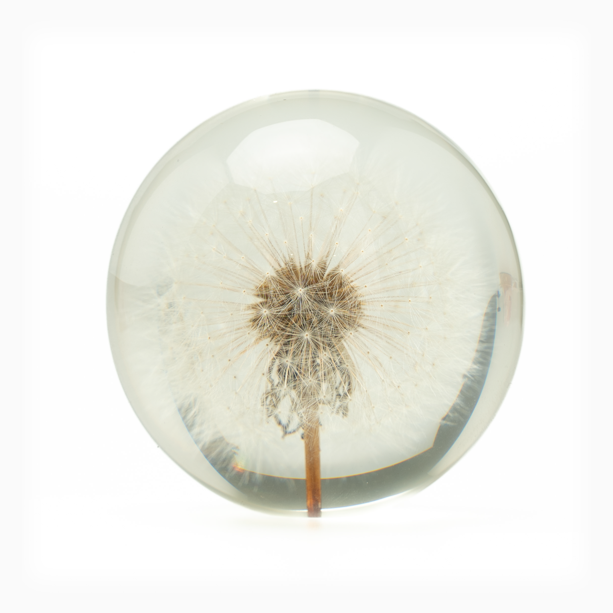 Dandelion Glass Crystal Ball